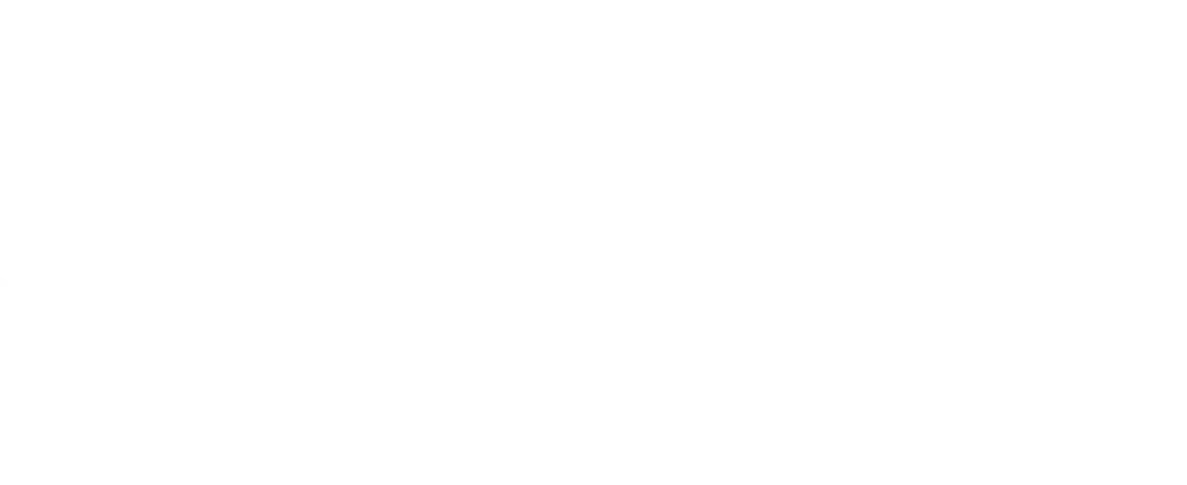 Mindful Employer